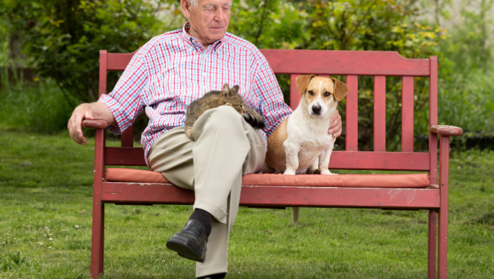old age man with his dog and cat on garden bench
