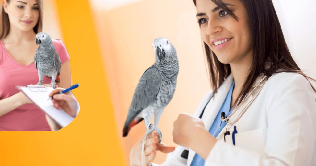doctor checking bird health
