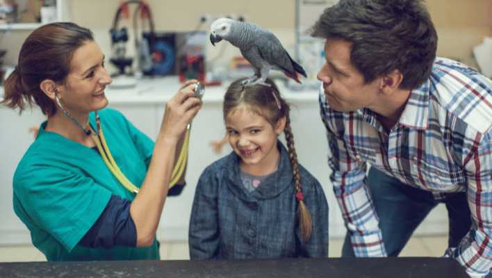 in doctor clinic nurse is play with sick bird