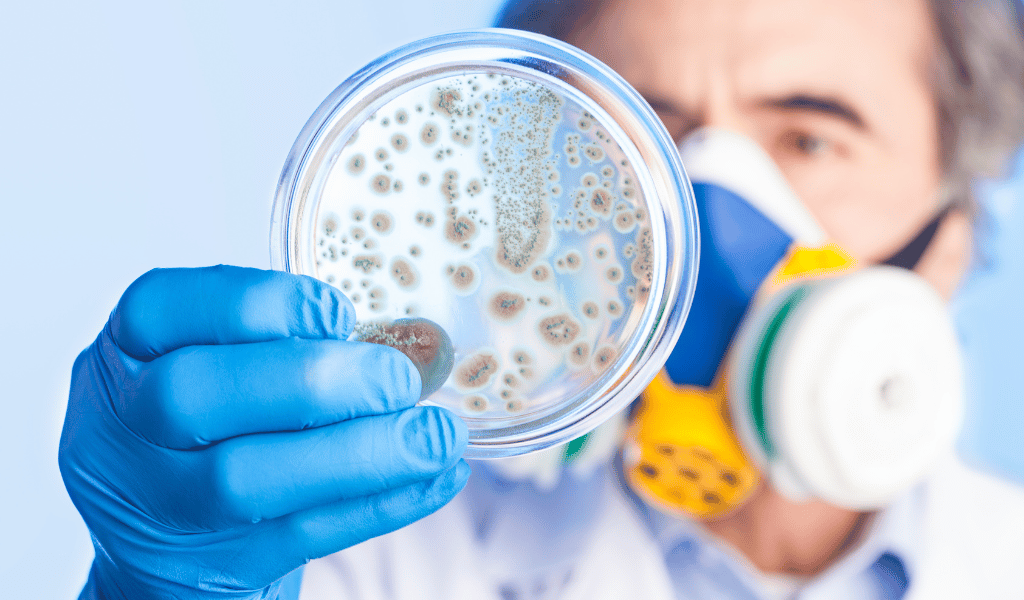 Bowel Nodoses doctor checking bacteria in lab 